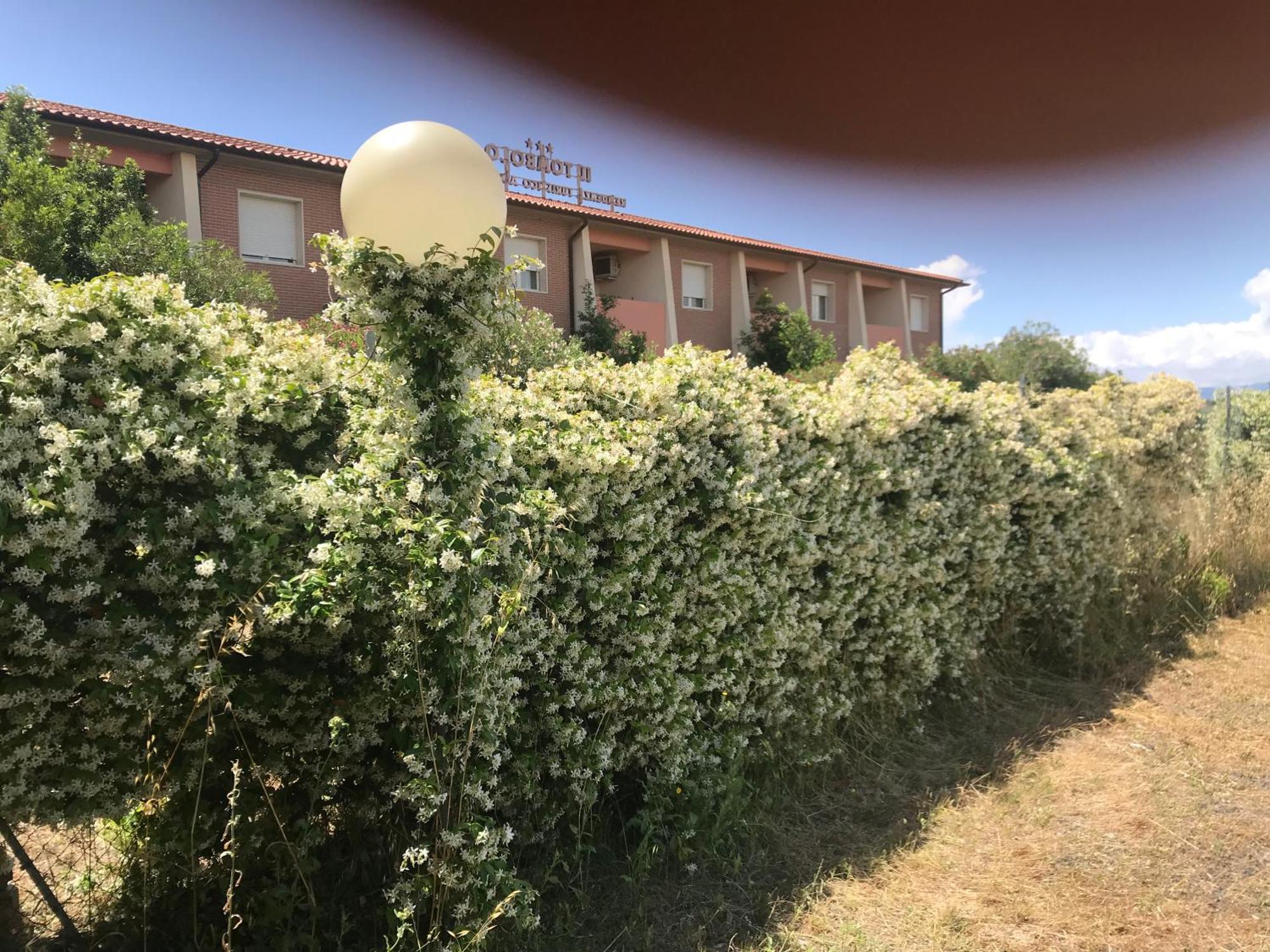 Residence Il Tombolo Principina a Mare Bagian luar foto
